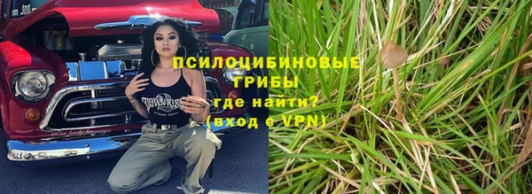 эйфоретик Липки