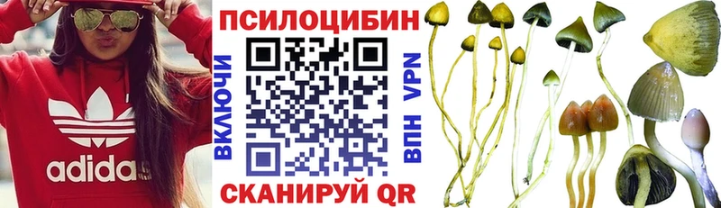 Псилоцибиновые грибы MAGIC MUSHROOMS Зуевка