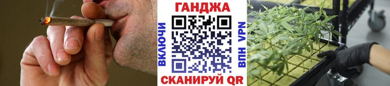 Конопля план  магазин    Зуевка 